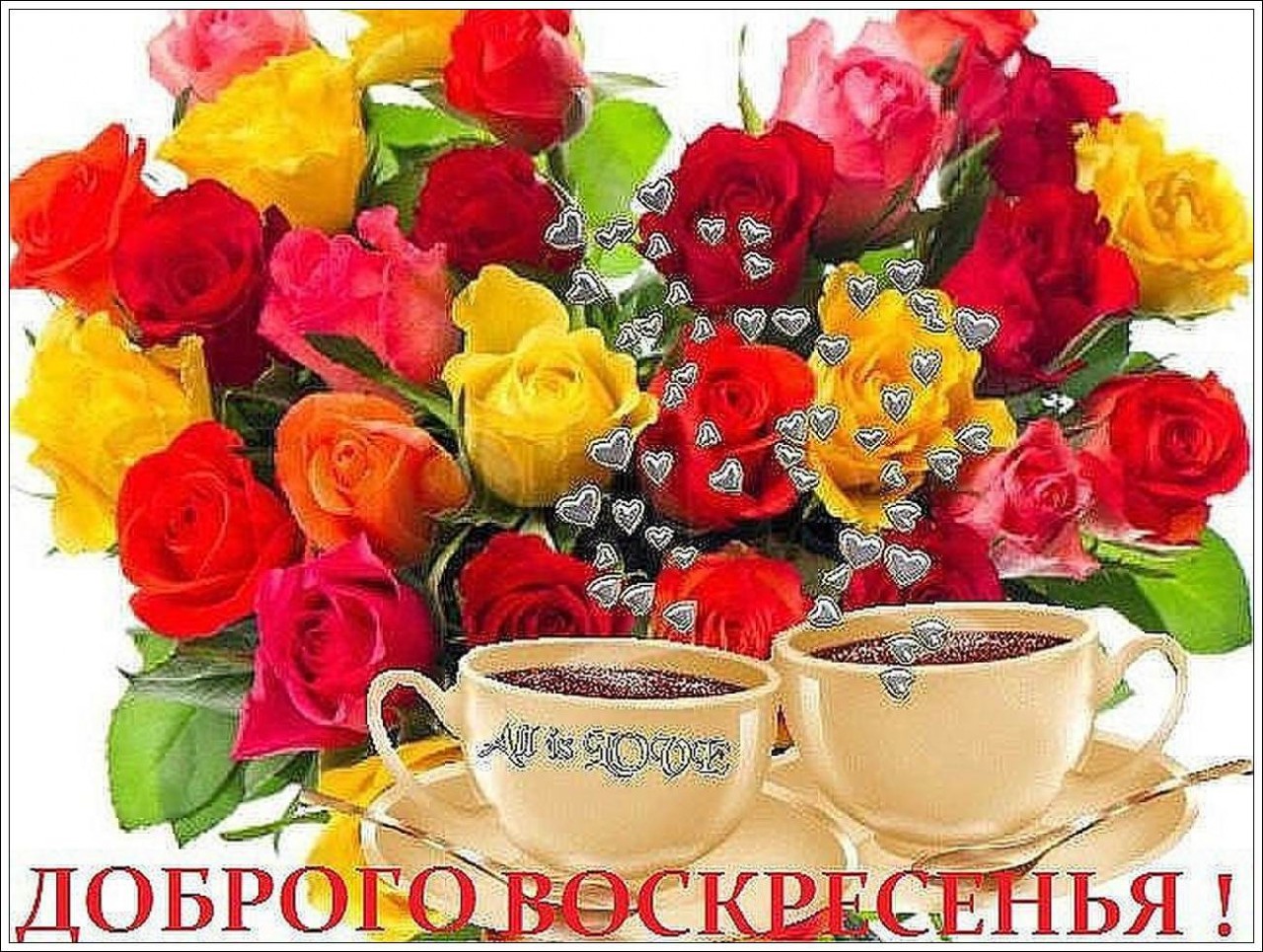 Просить прощения, картинки с пожеланием доброго воскресного утра