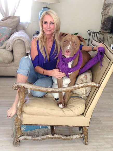 Kim Richards Sends Pit Bull to Trainer After 5th Attack on a Human