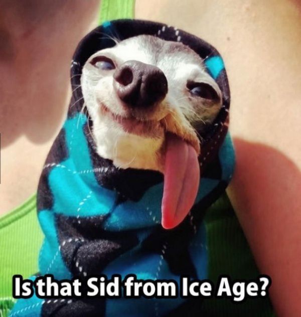 Sid From Ice Age