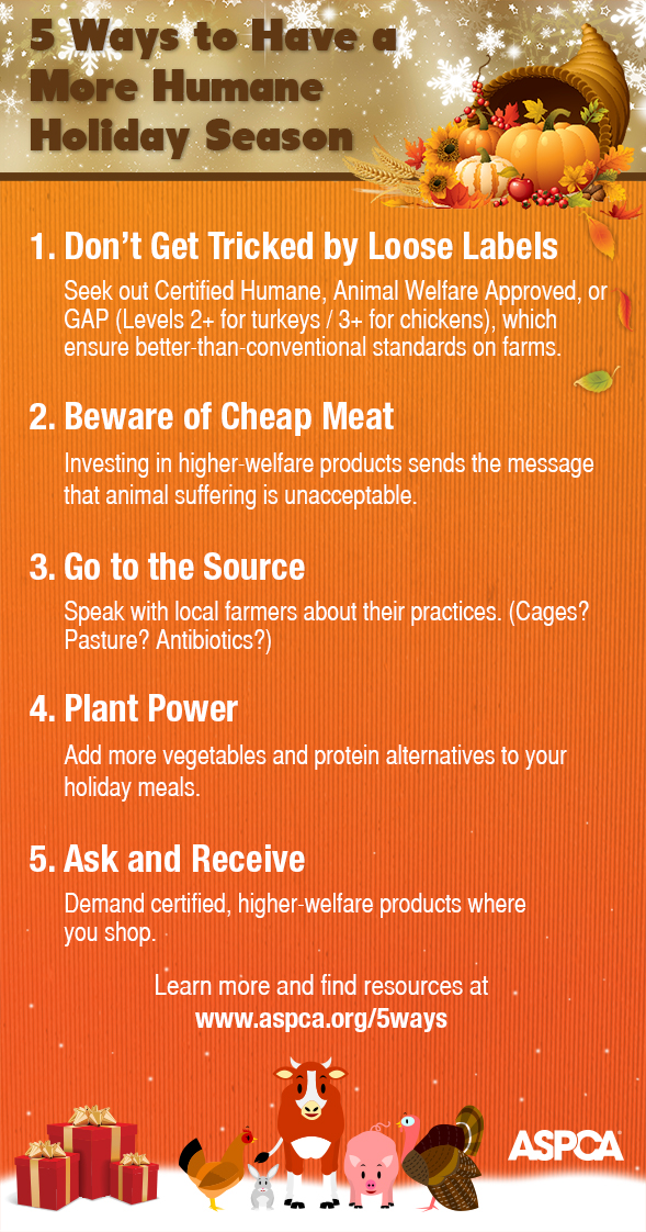 5 Ways to Have a More Humane Holiday Season!