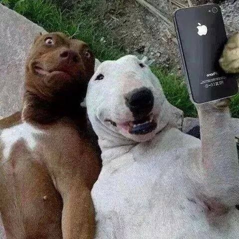 Let's take a selfie!