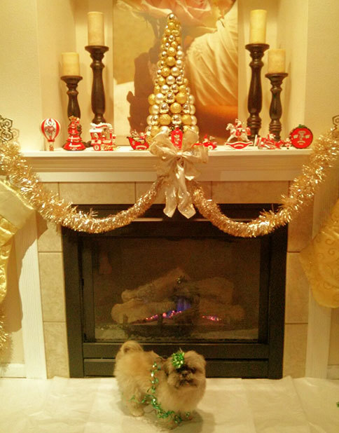 Little Lucia poses in her Christmas best for Mom and ...