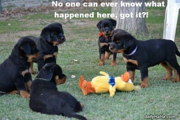 nobody can ever know funny picture