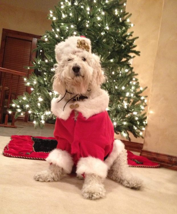 Hurley does his best regal St. Nicolas impression for the ...