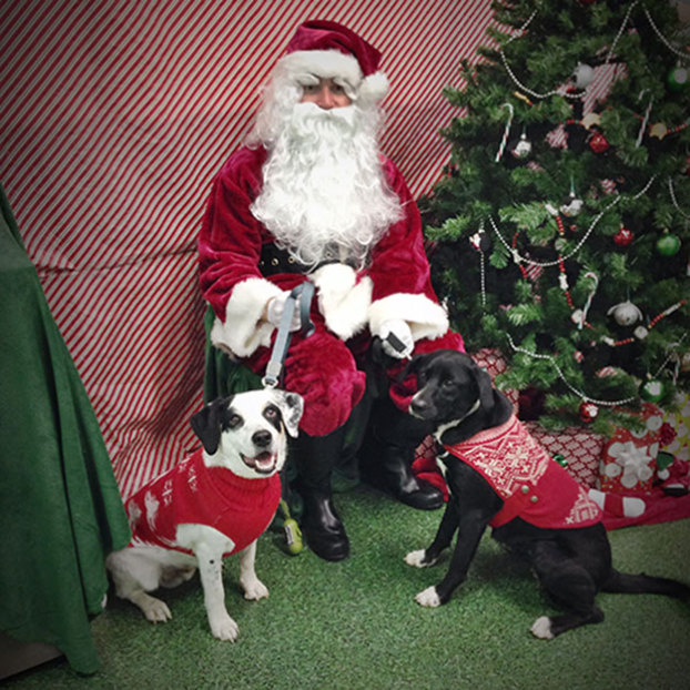 Clyde and Ella (Right) strike a pose with Santa!