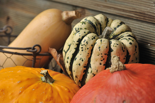 5 Ways Pumpkin Boosts Your Immune System